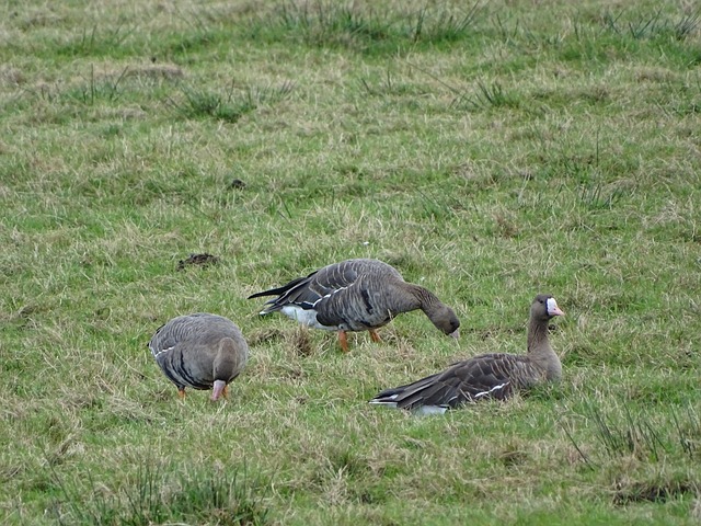 这样强队对 这样强队对