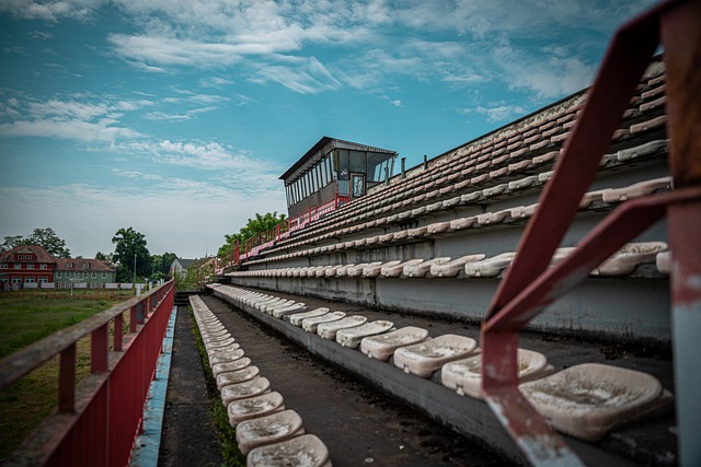 這一問題的 這一問題的