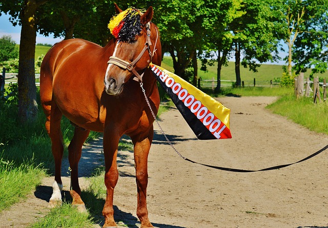 相比之下 相比之下