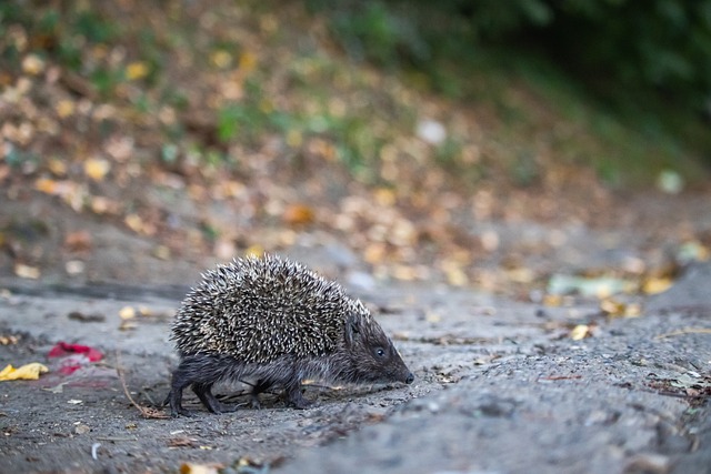 综合考验 综合考验