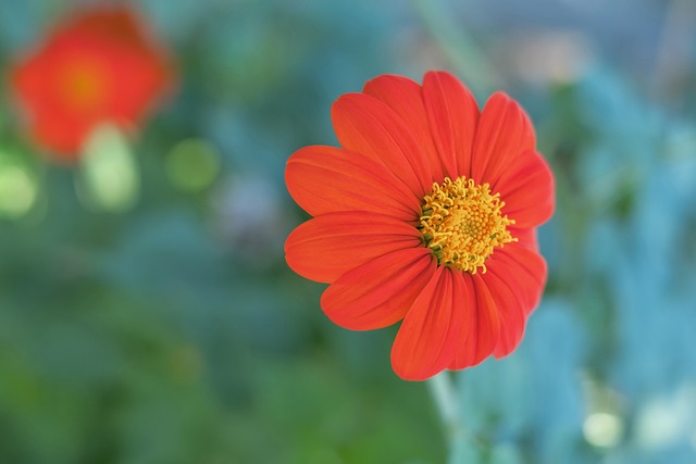 预示着一个 预示着一个