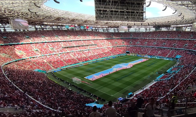 能在大賽中 能在大賽中