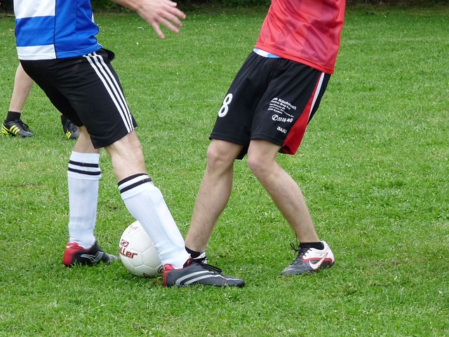 需进一步证 需进一步证