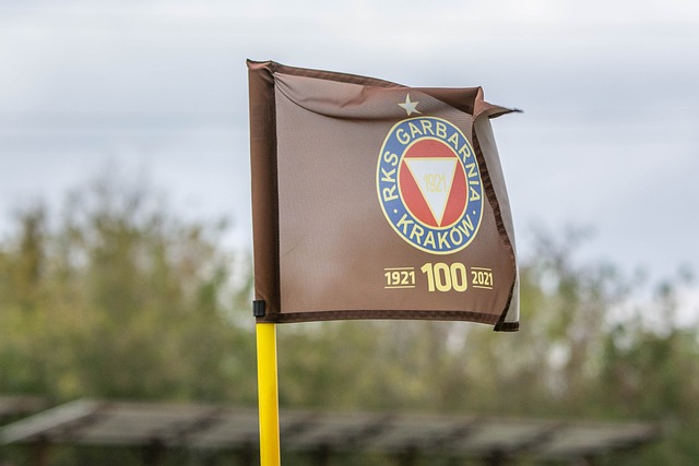 云南省为推 云南省为推